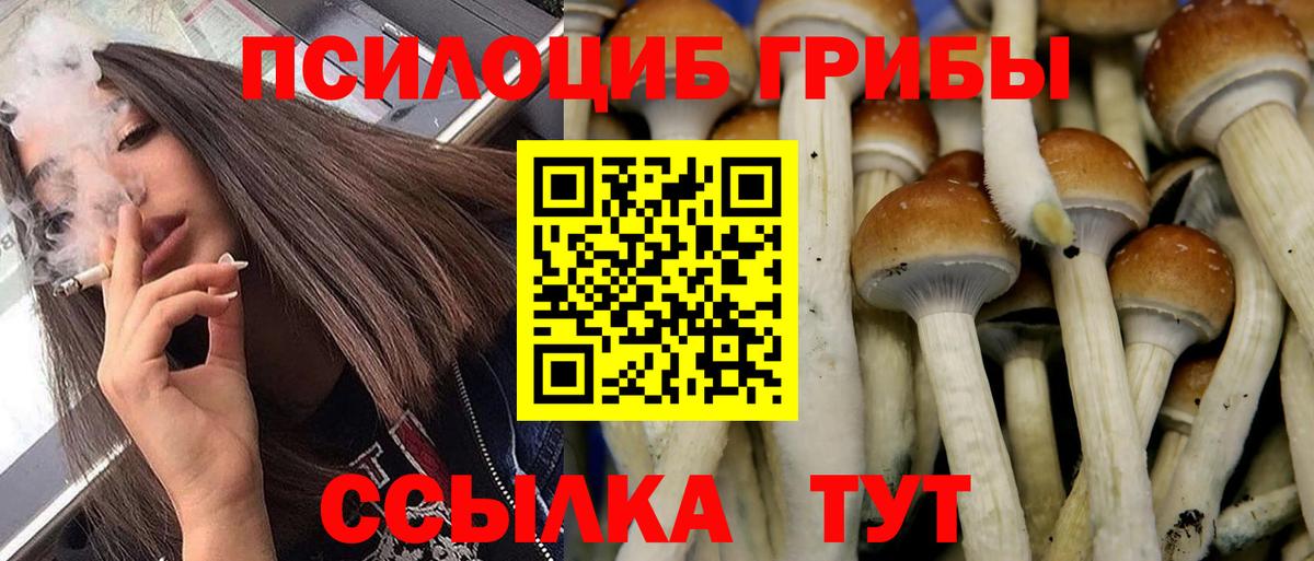 Галлюциногенные грибы ЛСД  Псилоцибиновые грибы мухоморы  Вход с VPN  Клин 