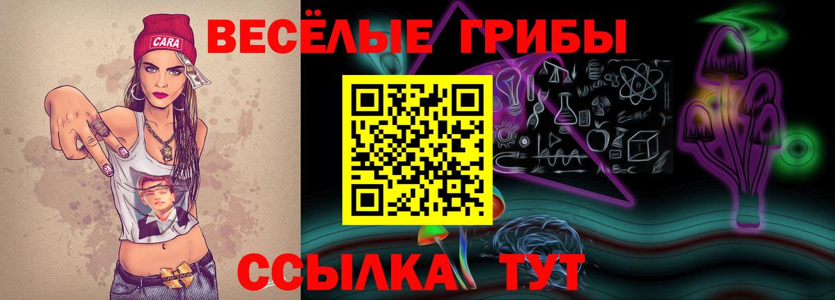 Галлюциногенные грибы Psilocybine cubensis Клин
